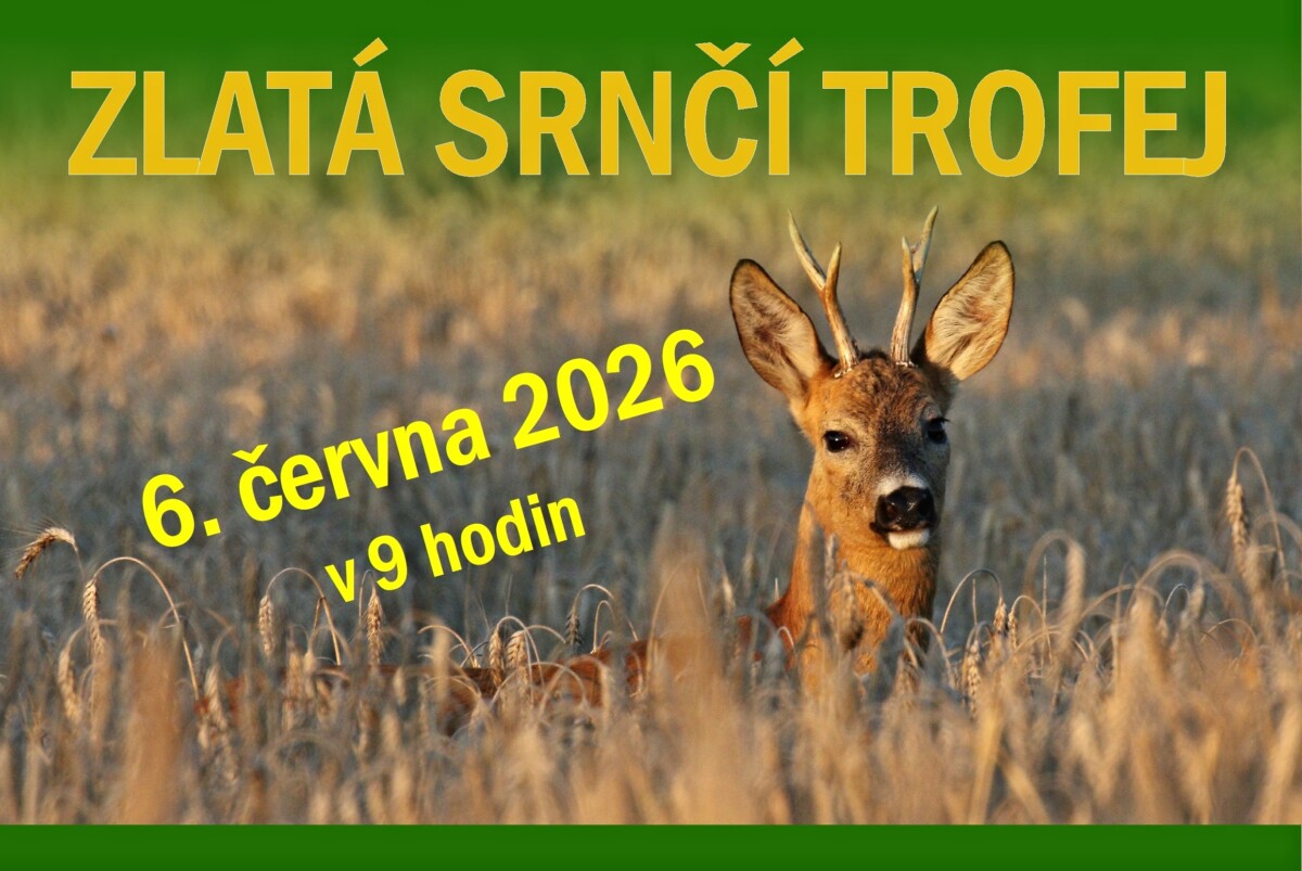 Zlatá srnčí trofej